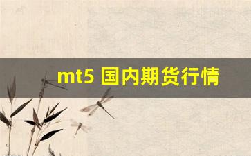 mt5 国内期货行情(期货mtm)_https://www.haiwangdasha.com_北交所_第1张